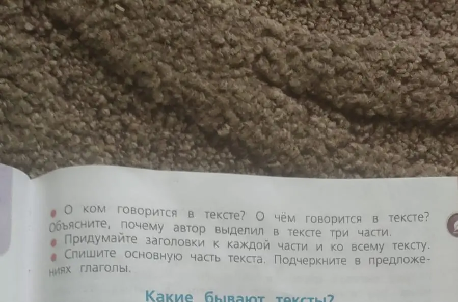 Выполни задания по тексту: определи главных героев и тему, объясни, почему автор выделил три части, придумай заголовки и подчеркни глаголы