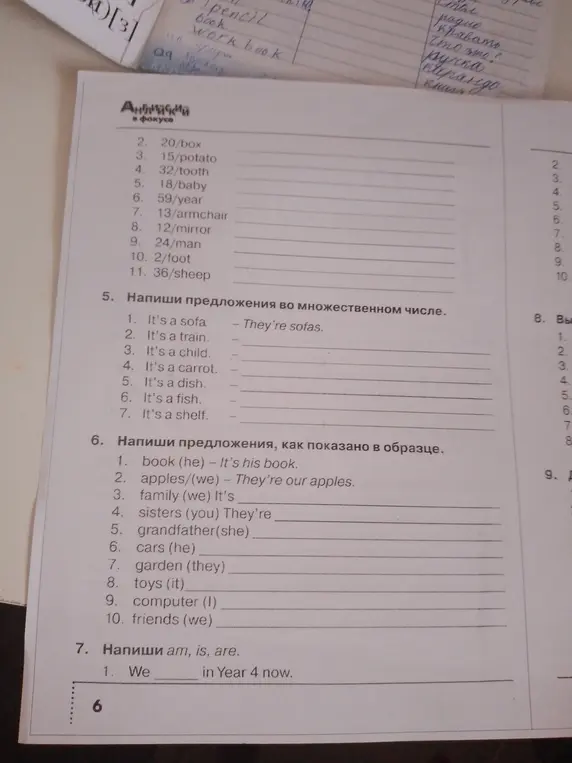 Ты просишь написать предложения во множественном числе, составить предложения, используя местоимения, и написать am, is или are.