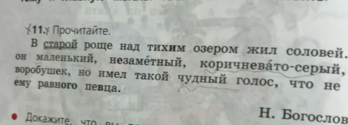 Прочитай текст из упражнения 11
