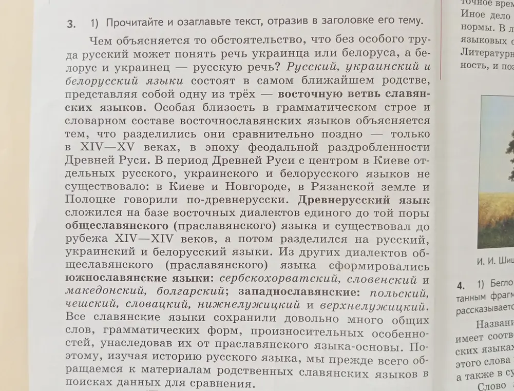 Опираясь на текст, расскажи, почему русский, белорусский и украинский языки можно назвать языками-братьями