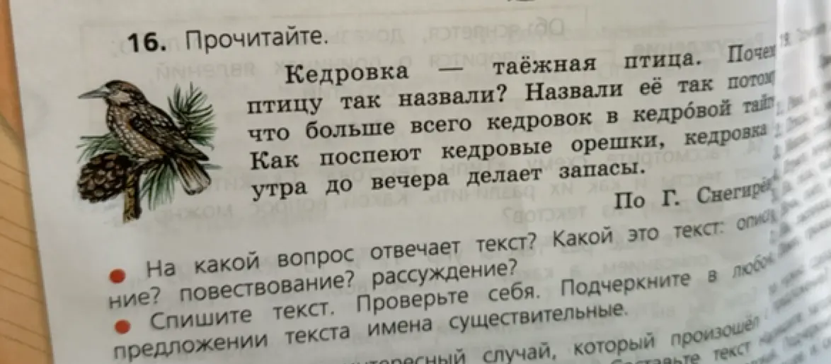 На какой вопрос отвечает текст про кедровку? Спиши текст и подчеркни имена существительные
