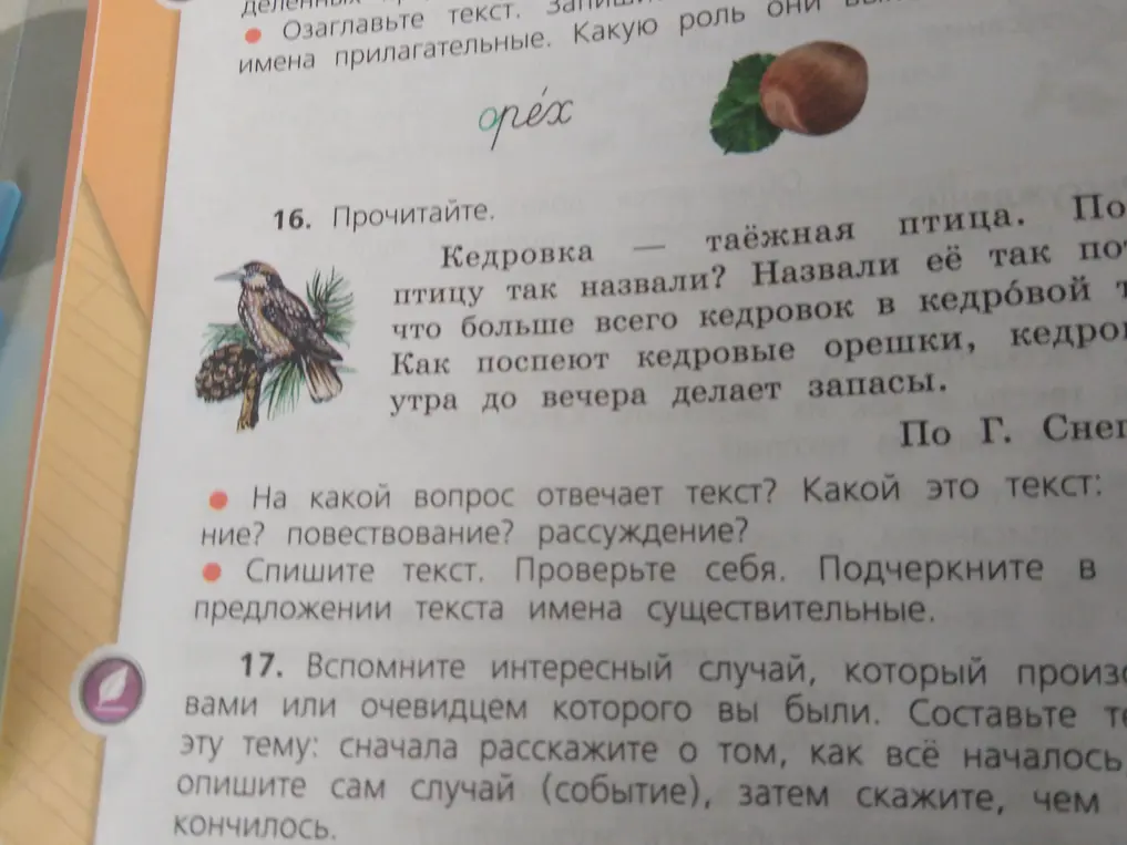 Как ответить на вопросы к тексту про кедровку и подчеркнуть имена существительные?