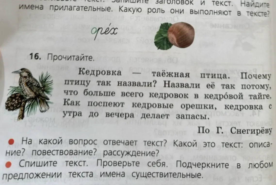 Ответь на вопросы к тексту про кедровку: определи тип текста, спиши текст и подчеркни имена существительные в любом предложении