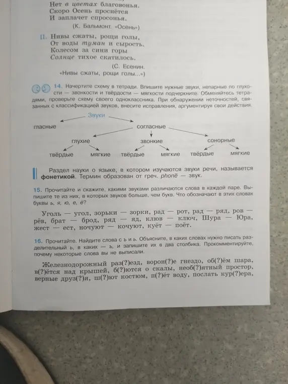 Прочитай и скажи, какими звуками различаются слова в каждой паре в задании 15