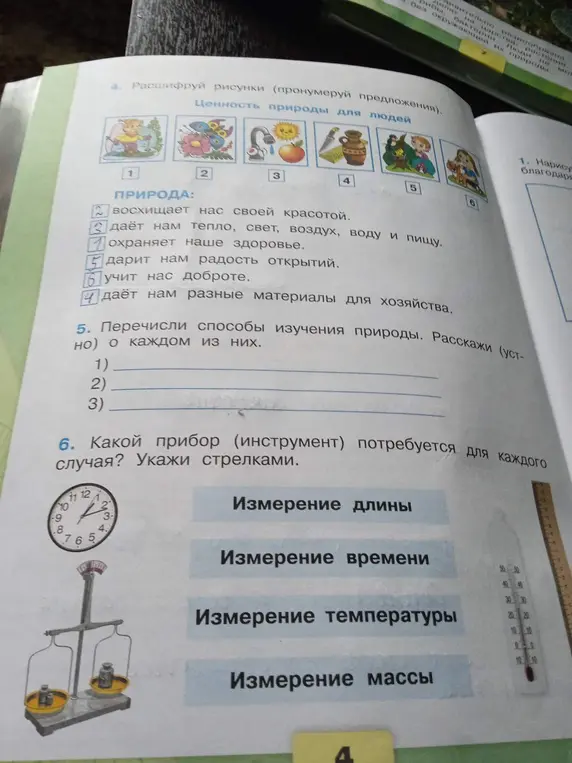 Выполни задание: расшифруй рисунки (пронумеруй предложения)