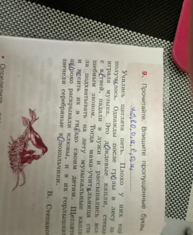 Впиши пропущенные буквы в тексте.