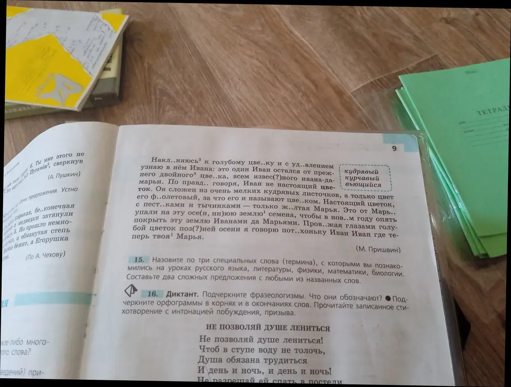 Назови три специальных слова (термина), с которыми ты познакомились на уроках русского языка, литературы, физики, математики, биологии. Составь два сложных предложения с любыми из названных слов.