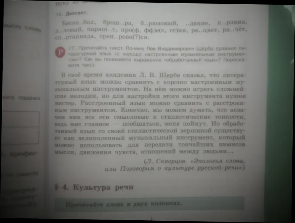 Вставь пропущенные буквы в слова: Баске..бол, брош..ра, б..рюзовый и другие