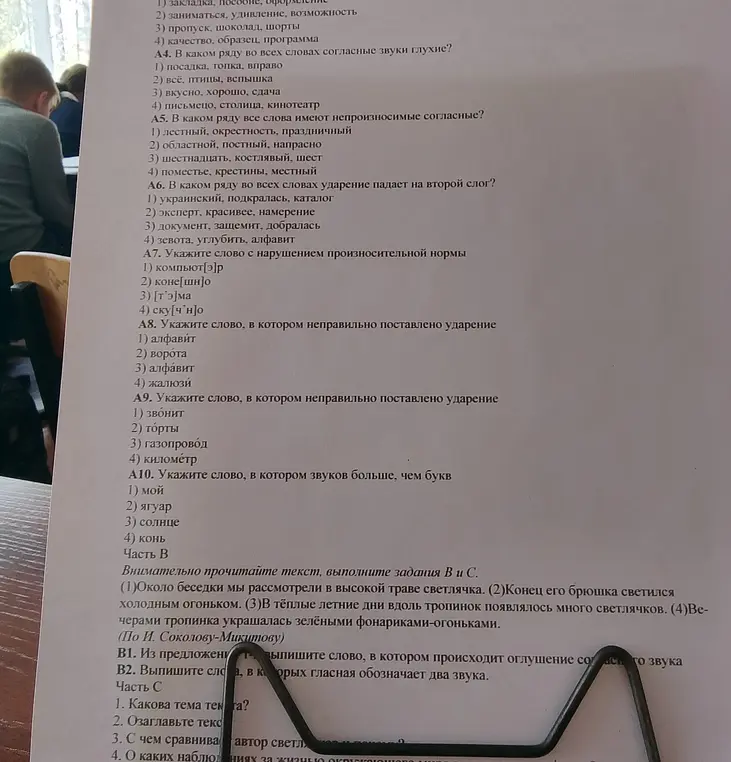 Можешь ли ты решить задания по русскому языку: А4-А10 и B1-C4?