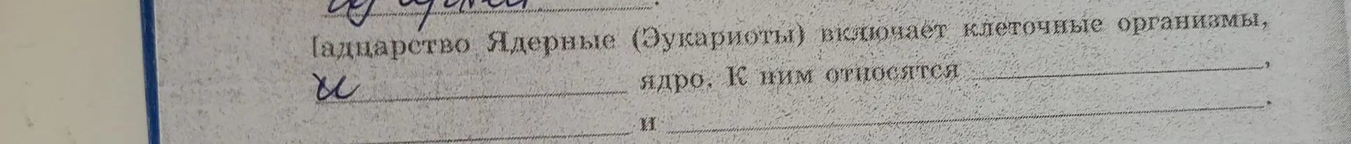 Заполни пропуски в тексте о царстве Ядерные (Эукариоты).