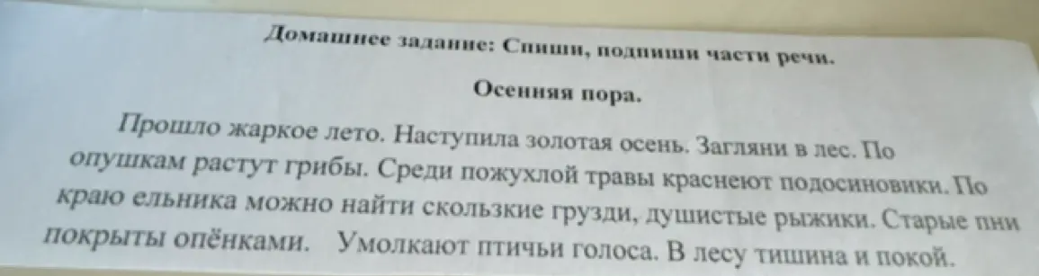 Ты просишь списать текст и подписать части речи.