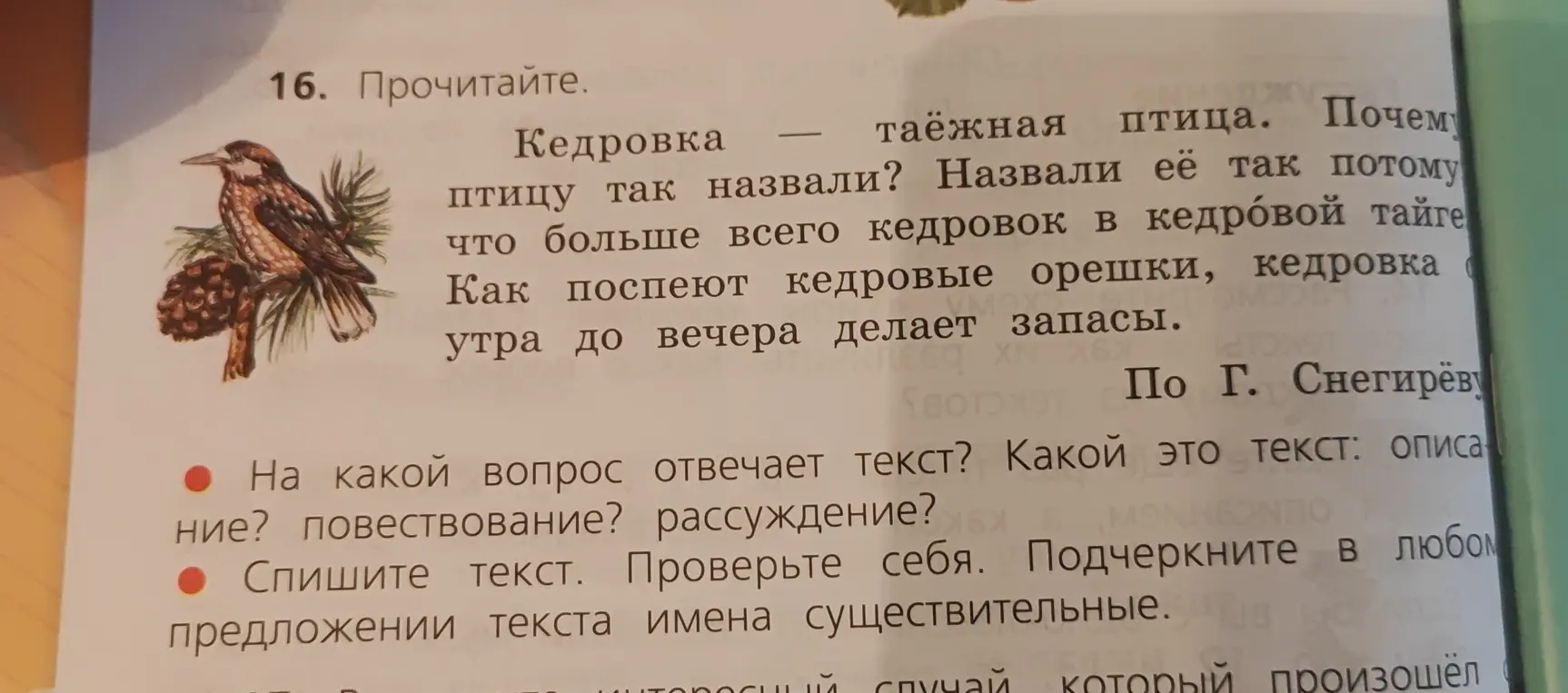 Ответь на вопрос: на какой вопрос отвечает текст о кедровке и какой это тип текста (описание, повествование или рассуждение)?