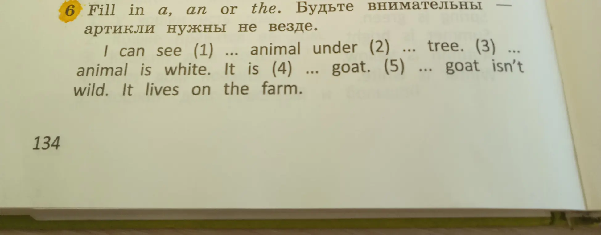 Помоги вставить a, an или the в предложении 'I can see (1) ... animal under' и далее по тексту