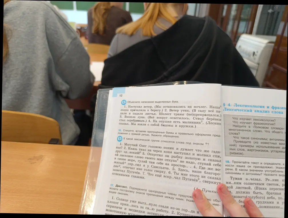 Объясни правила оформления предложений с прямой речью и расскажи про однородные члены предложения и омонимы.