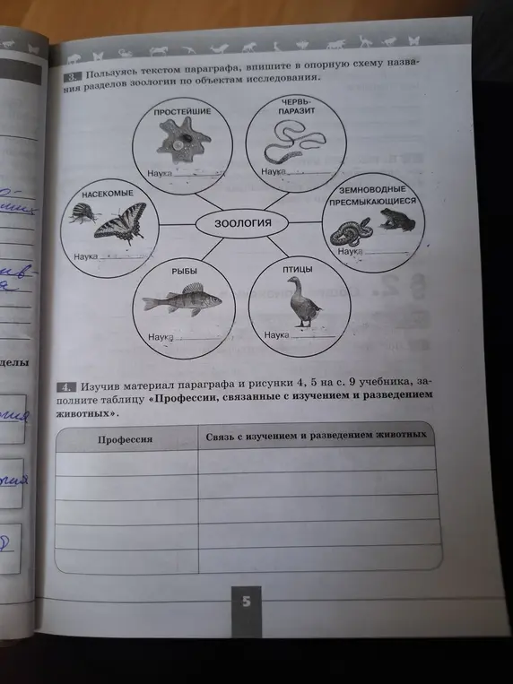 Можешь ли ты помочь мне заполнить схему названия разделов зоологии по объектам исследования и таблицу «Профессии, связанные с изучением и разведением животных»?