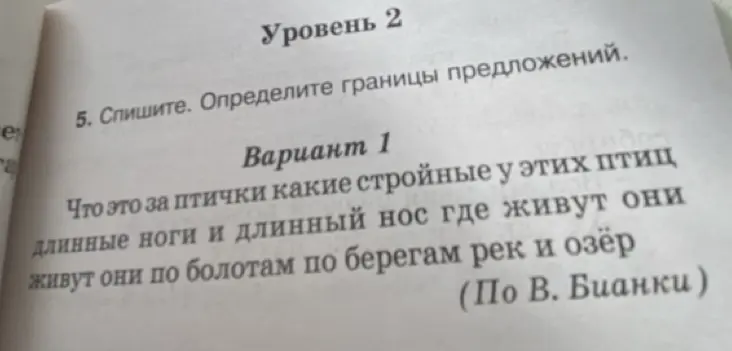 Помоги определить границы предложений в тексте из упражнения 5 на странице 13 варианта 1