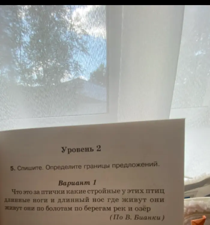 Спиши и определи границы предложений в тексте из упражнения 5 на странице 13, вариант 1