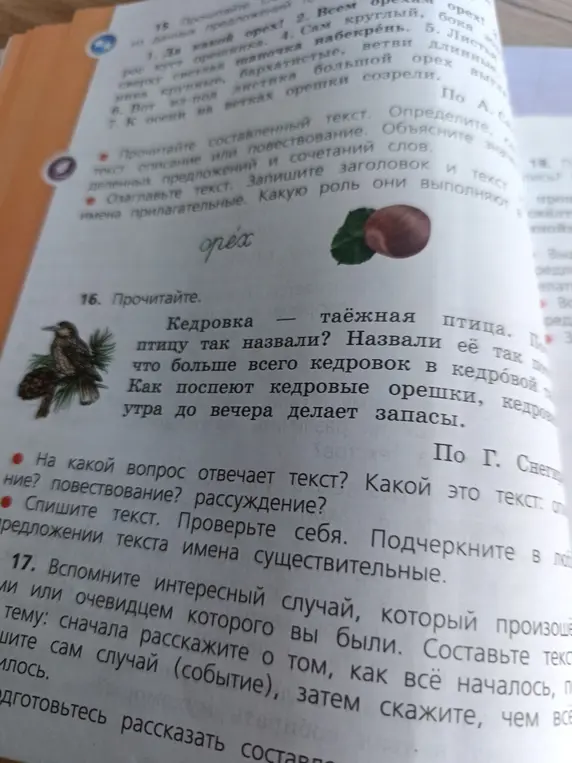Спиши текст про кедровку и подчеркни в любом предложении текста имена существительные.