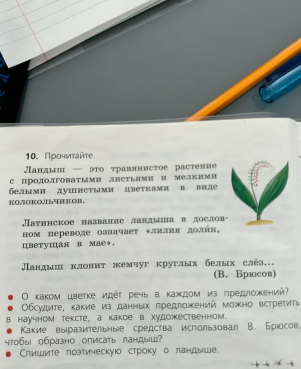 О каком цветке идёт речь в каждом из предложений?