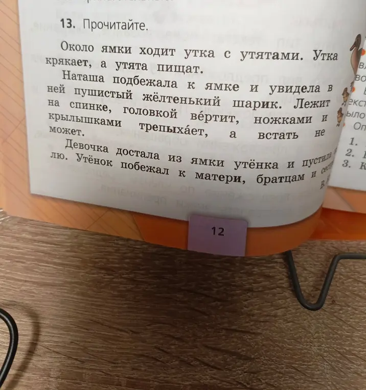 Прочитай текст под номером 13