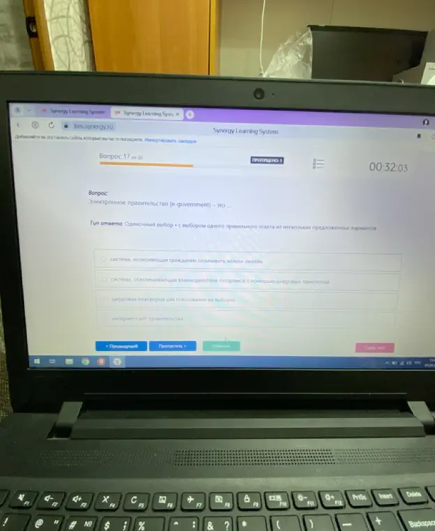 Что такое электронное правительство (e-government)?
