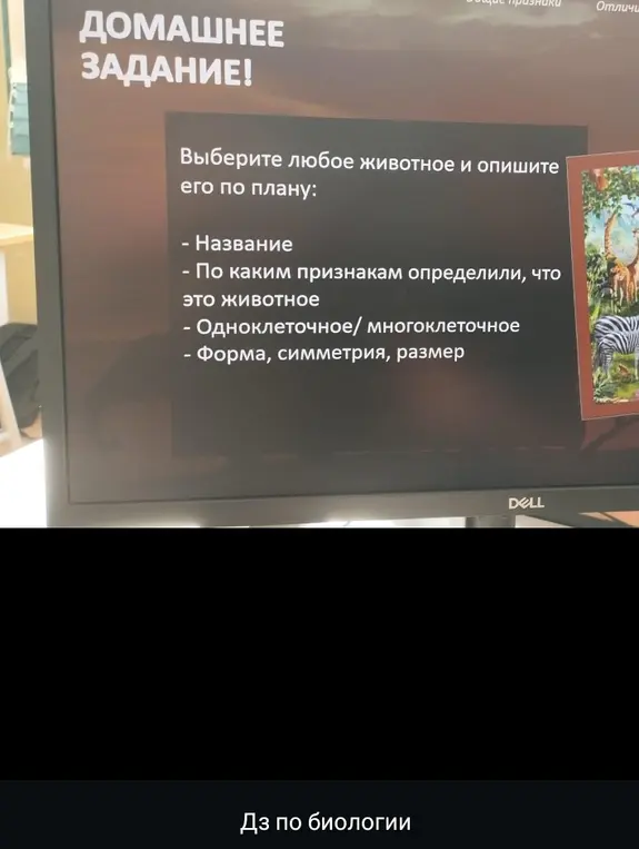 Опиши любое животное по плану: название, признаки, клетка, форма, симметрия, размер