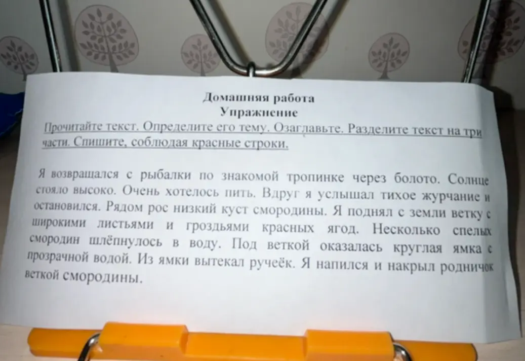 Ты просишь прочитать текст, определить его тему, озаглавить, разделить на три части и списать, соблюдая красные строки.
