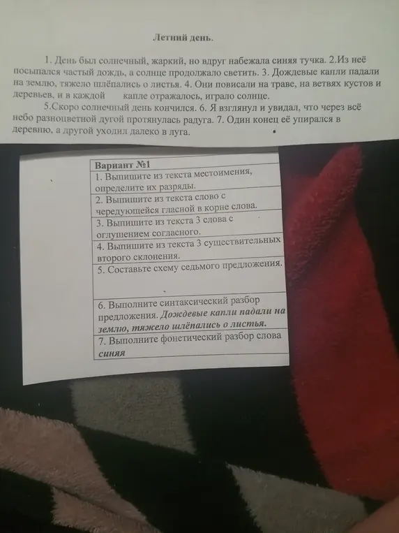 Помоги мне выписать из текста местоимения, определить их разряды.