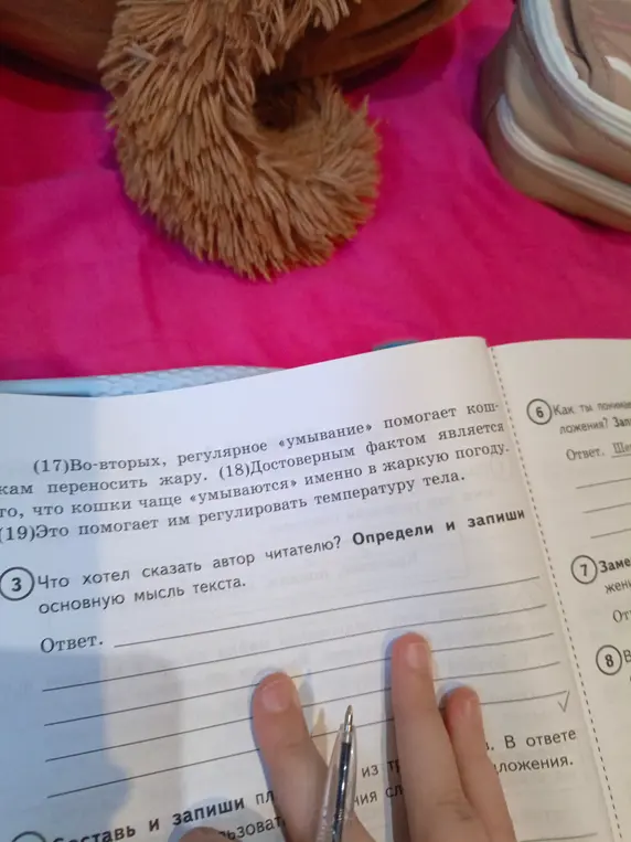 Что ты хотел сказать автор читателю в тексте про кошек?