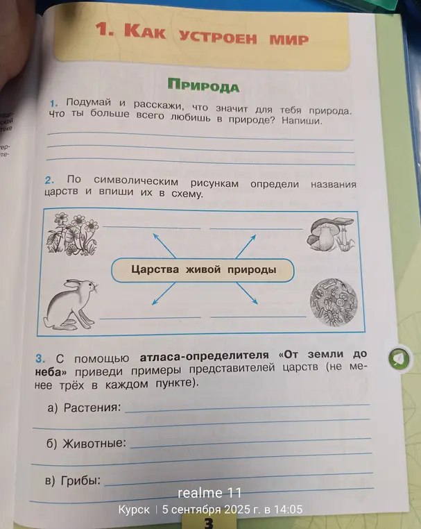 Можешь ли ты помочь мне определить названия царств по символическим рисункам и привести примеры представителей царств?