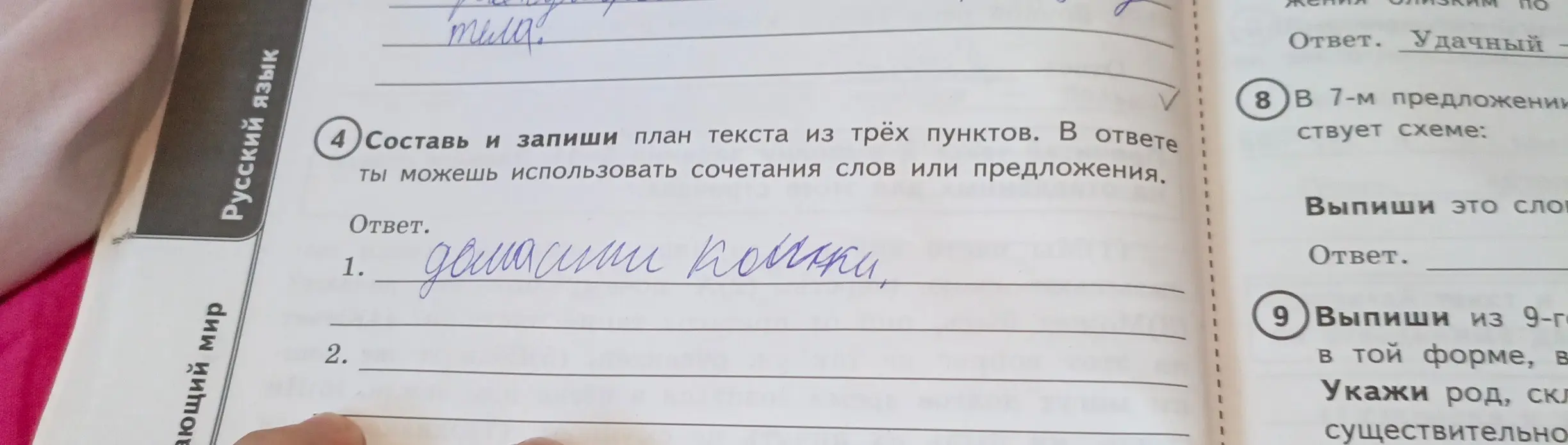 Составь план текста из трёх пунктов, первый пункт - 'домашние кошки'