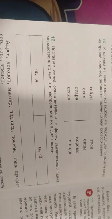Определи форму множественного числа существительных: адрес, договор, мастер, подпись, почерк, приз, профессор, торт, тренер.