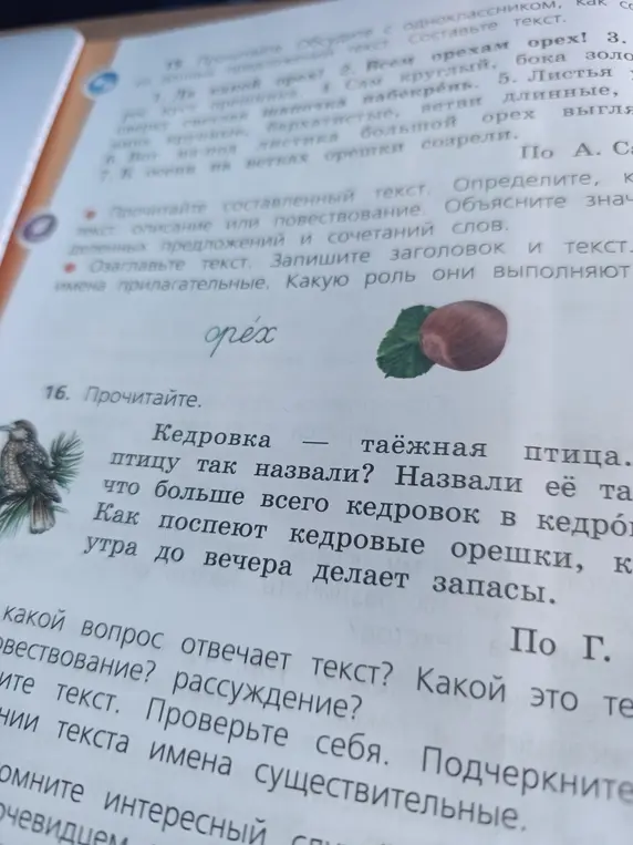 Выполни задания с текстами про орех и кедровку: определи тип текста, озаглавь текст про орех, найди имена прилагательные, ответь на вопрос про текст про кедровку и подчеркни имена существительные.