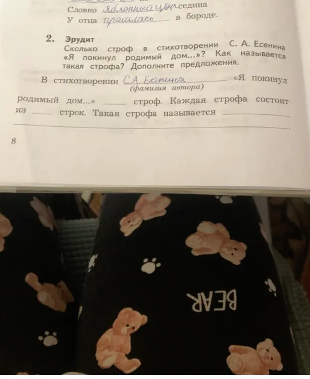 Сколько строф в стихотворении С. А. Есенина «Я покинул родимый дом...»?