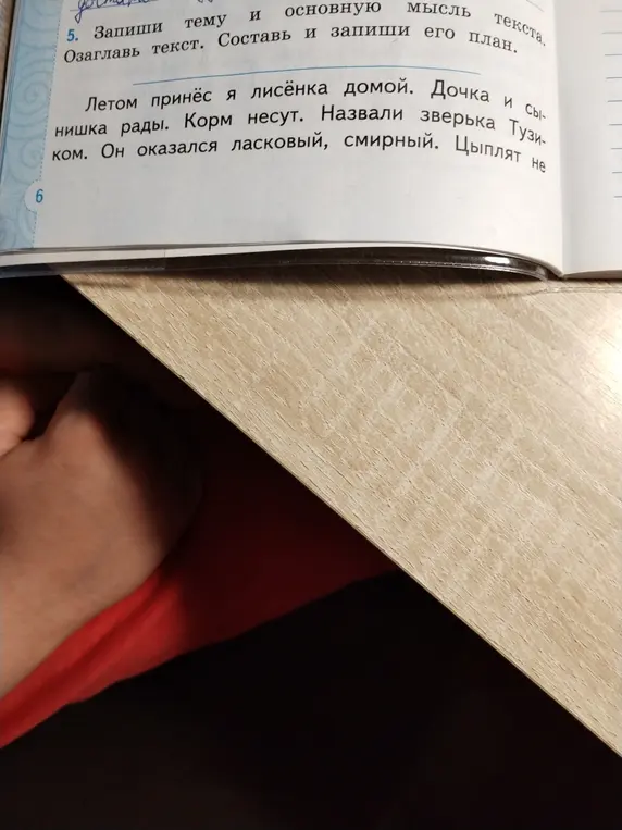 Предложи тему, основную мысль текста, озаглавь текст, составь и запиши его план.