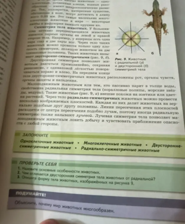 Назови основные особенности животных.