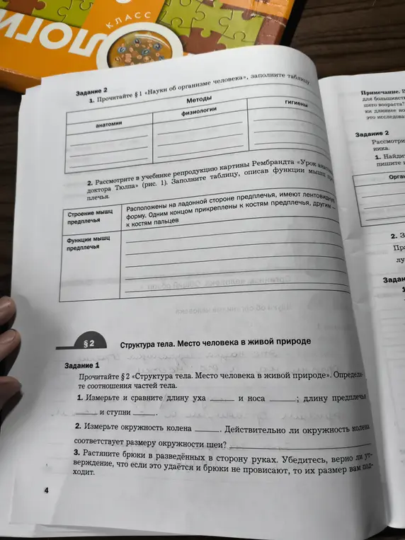 Прочитай параграф 2 «Структура тела. Место человека в живой природе». Определите соотношения частей тела, измерив и сравнив длину уха и носа.