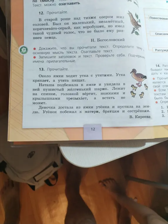 Ты просишь доказать, что прочитал текст, определить тему и основную мысль текста, озаглавить текст и подчеркнуть имена прилагательные в упражнении 12