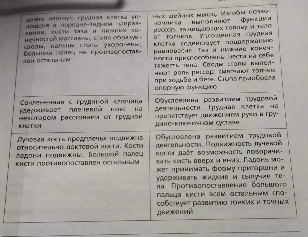 Выпиши морфологические признаки, позволившие человеку развивать звуковую речь, приспосабливаться к трудной деятельности, освоить прямохождение и вести социальный образ жизни.