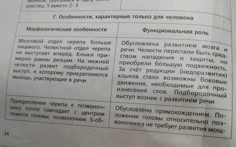 Выпиши морфологические признаки, позволившие человеку развивать звуковую речь.