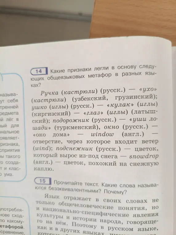 Какие признаки легли в основу следующих общеязыковых метафор: ручка (кастрюли) — «ухо» и т.д.