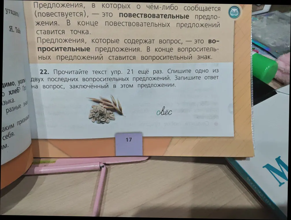 Прочитай текст упр. 21 ещё раз и спиши одно из двух последних вопросительных предложений