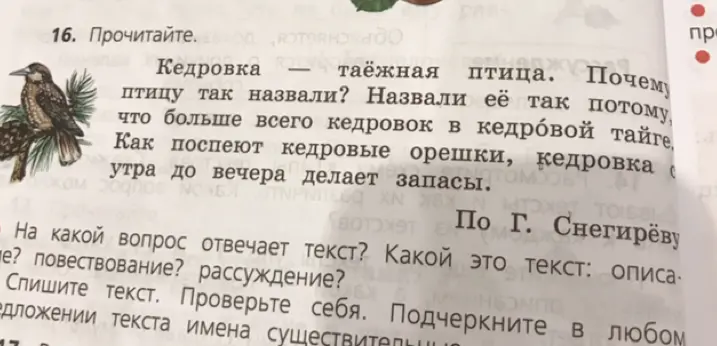Ответь на вопрос, на какой вопрос отвечает текст про кедровку? Определи тип текста, перепиши его и подчеркни имена существительные