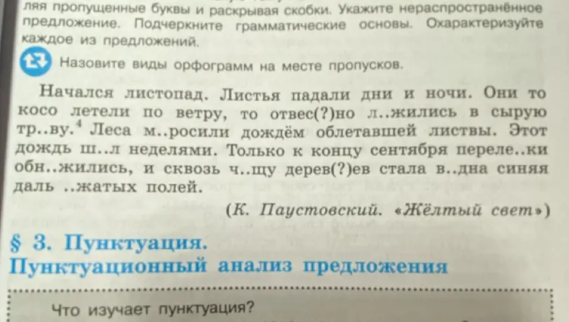 Назови виды орфограмм на месте пропусков в тексте.