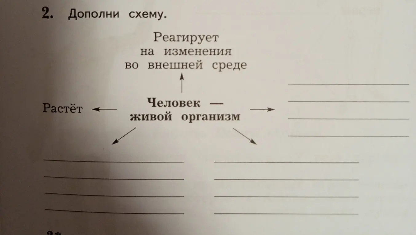 Ты просишь дополнить схему 'Человек - живой организм'