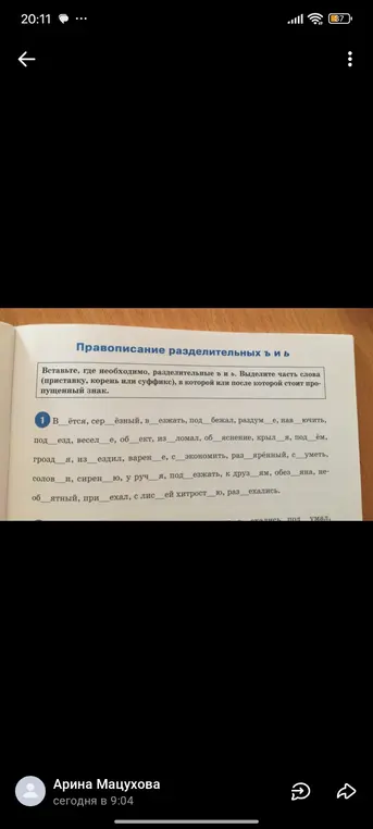 Вставь, где необходимо, разделительные ъ и ь. Выдели часть слова (приставку, корень или суффикс), в которой или после которой стоит пропущенный знак в первом предложении.