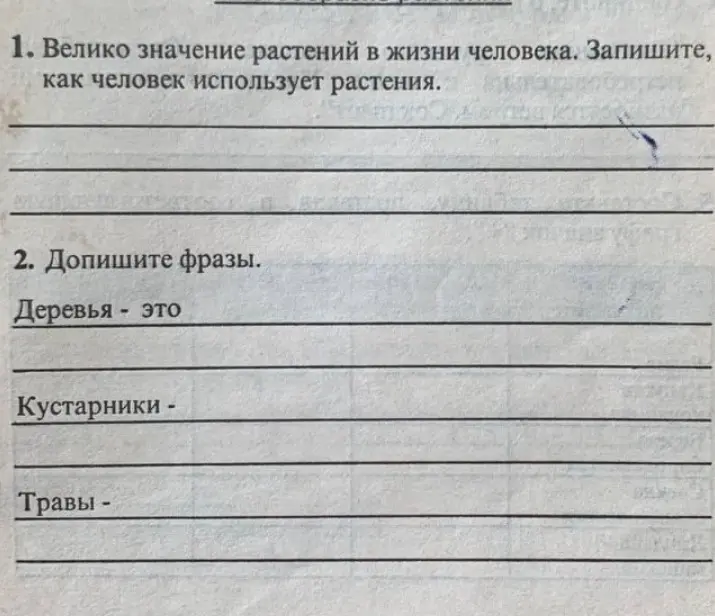 Объясни, как человек использует растения и дополни фразы про деревья, кустарники и травы