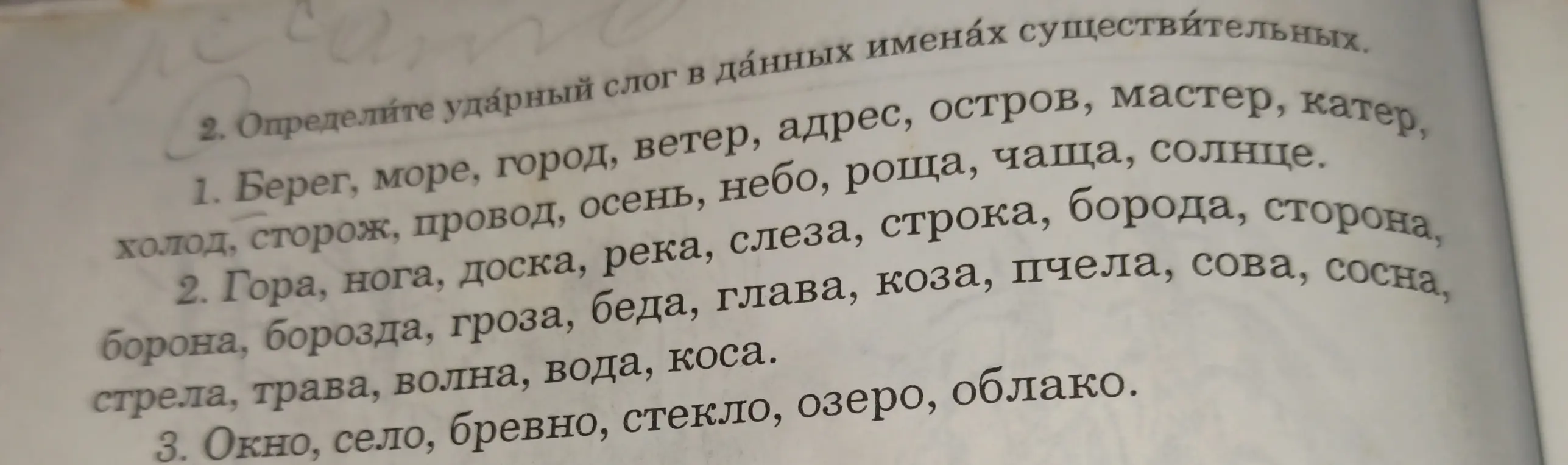 Определи ударный слог в данных именах существительных в упражнении 1