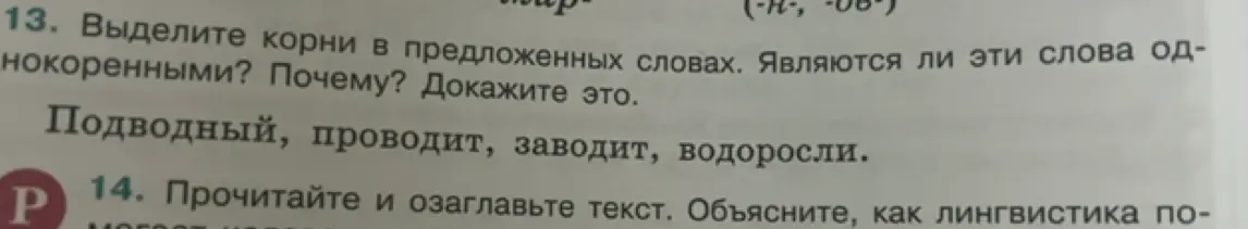 Выдели корни в словах: Подводный, проводит, заводит, водоросли. Являются ли эти слова однокоренными? Почему?