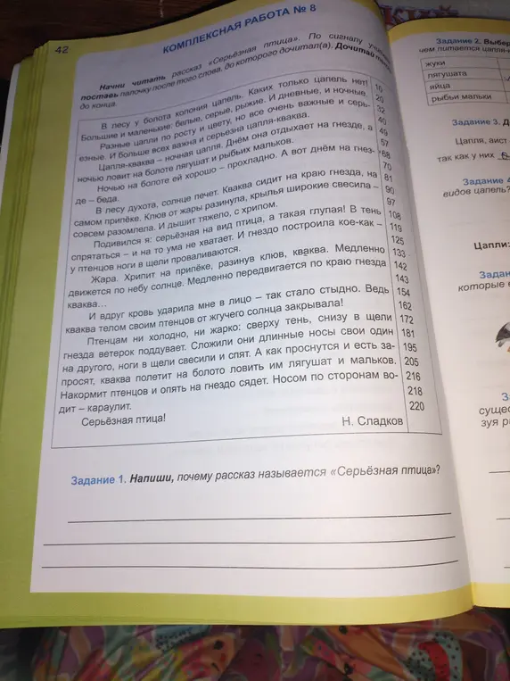 Напиши, почему рассказ называется «Серьёзная птица»?